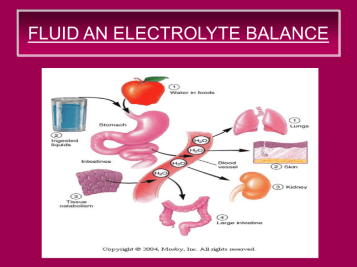 Ati video case study fluid and electrolyte balance heart failure