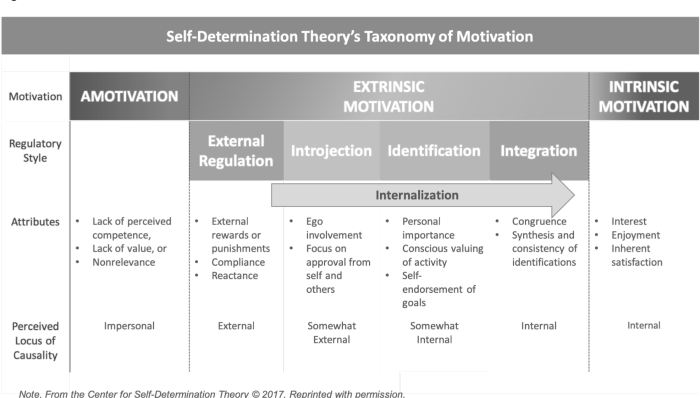 Research on intrinsic and extrinsic motivation contends that