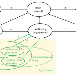 Intrinsic extrinsic motivation difference marketing91 different differently motivations behavior decision behave