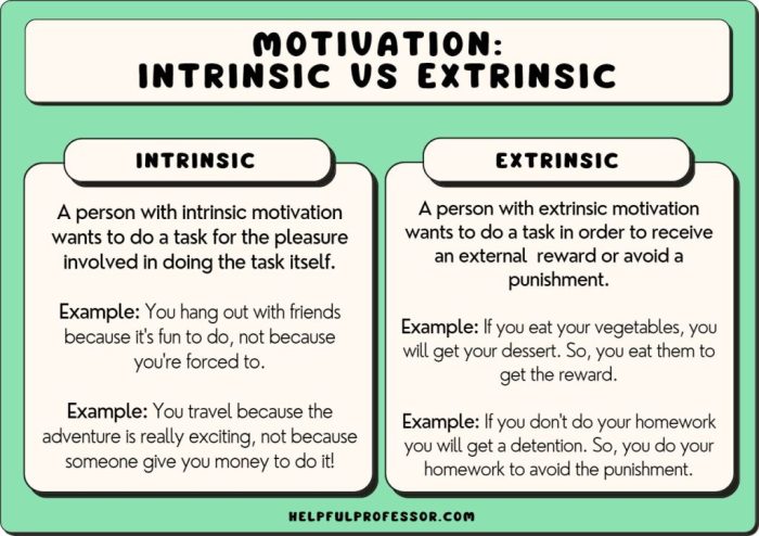 Research on intrinsic and extrinsic motivation contends that